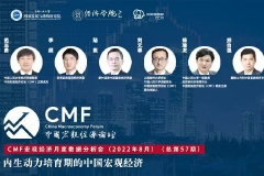 8月17日：内生动力培育期的中国宏观经济