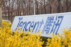 腾讯旗下幻核平台回应徐悲鸿数字藏品版权争议：徐先生过世已超50年，作品有授权