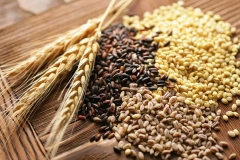 农业农村部：产业振兴是乡村振兴重中之重