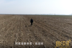 “保险+期货”筑牢黄河畔的金融“小浪底”