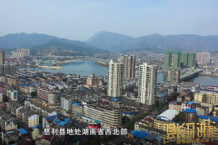 慈利猪农的底气