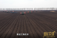海伦农户扩种大豆的信心