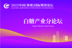 2022 中国（郑州）国际期货论坛（白糖产业分论坛）