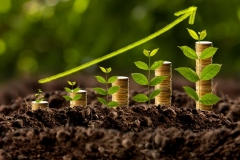 “双碳”目标指引 绿色金融方兴未艾