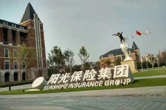 国内第十家上市险企即将诞生，阳光保险赴港上市获证监会核准