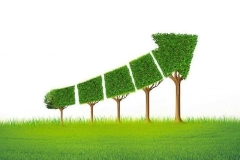 六大行加大绿色信贷投放 银行业多项创新举措助力实体经济