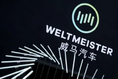 3年巨亏174亿！威马汽车创始人沈晖年薪12亿真相揭秘