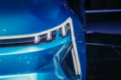 传统派沈晖，刹不住威马的车