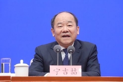 宁吉喆：四项举措完善税收调节机制 加大消费环节税收调节力度