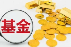 个人养老金怎么买公募基金？监管规则来了