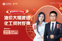 原油及化工论坛：油价大幅波动 化工何时反弹