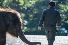 预订的酒店被临时退单？春节大涨价致游客无房可住，谁的错？