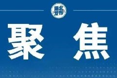 第六届楚商大会于11月7日起在武汉举行