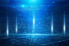 曹顺明：再保险业数字化转型是大势所趋