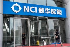 新华保险捐款100万元驰援甘肃青海地震灾区