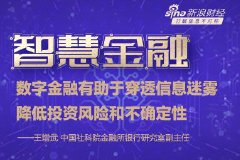 王增武：数字金融有助于穿透信息迷雾，降低投资风险和不确定性