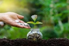 全国政协委员、正泰集团董事长南存辉：建议明确碳排放权金融属性