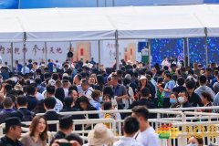 众酒企抢跑“春糖” 产区抱团、创新酒品或成焦点