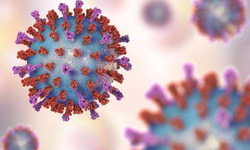 黄奇帆：建议取消住房公积金制度 为企业降低12%成本