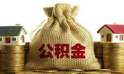 姜伯静：取消公积金 不如给企业减税降费！