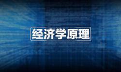 杨凯生：数字化发展给政治经济学带来的一点新思考