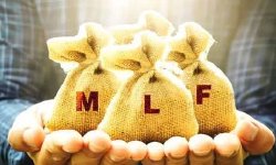 2月MLF操作利率不变，降息仍在政策工具箱内