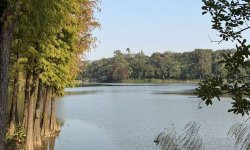 以知为炬，向光而行——燕梳新学堂2026新年献词