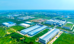 鲁政委：2024年中国区域产业禀赋报告