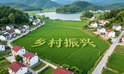 韩文秀：扎实推进乡村全面振兴