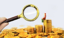 顾雷：对全社会弱势群体金融支持是普惠金融的根本任务