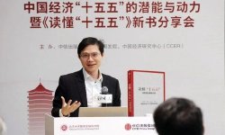 罗志恒：如何明显提高居民消费率？