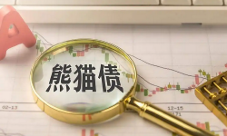 张明：熊猫债市场发展为何提速？