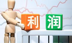 沈建光：工业企业利润为何与所得税背离