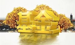 曹中铭：FOF基金风格“漂移”问题也应引起重视