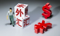 管涛：境内宽流动性并非因为结售汇顺差