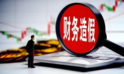 曹中铭：铲除财务造假的难点在哪？