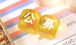 余敬中：从关闸到定向开放——公募摊余债基的行政配给与市场后果