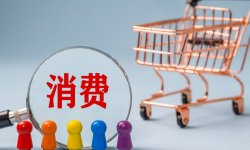 罗志恒：为何一线城市消费冷热不均？——北上广深社零分化的三重机制
