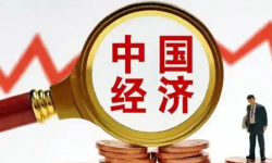 张瑜：分化的源头——投石问“K”系列三