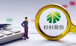 李德林：杉杉隐形的雷