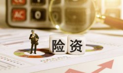 李庚南：如何从保险公司资产负债管理看耐心资本培育？