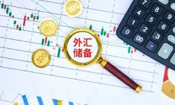 管涛：上半年中日均净卖出美债