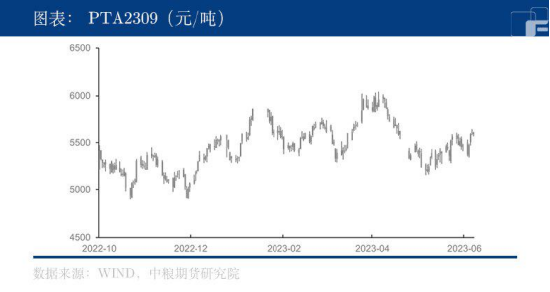 【中粮视点】PTA：负重前行