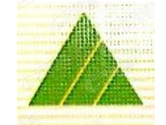 珲春兴家地板有限责任公司