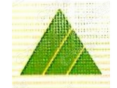 珲春兴家地板有限责任公司