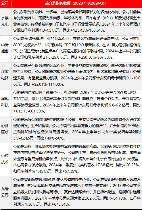表3:部分功绩存在亮点的公司简介