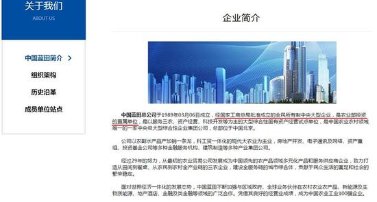 中国蓝田官网公司介绍。 截屏图