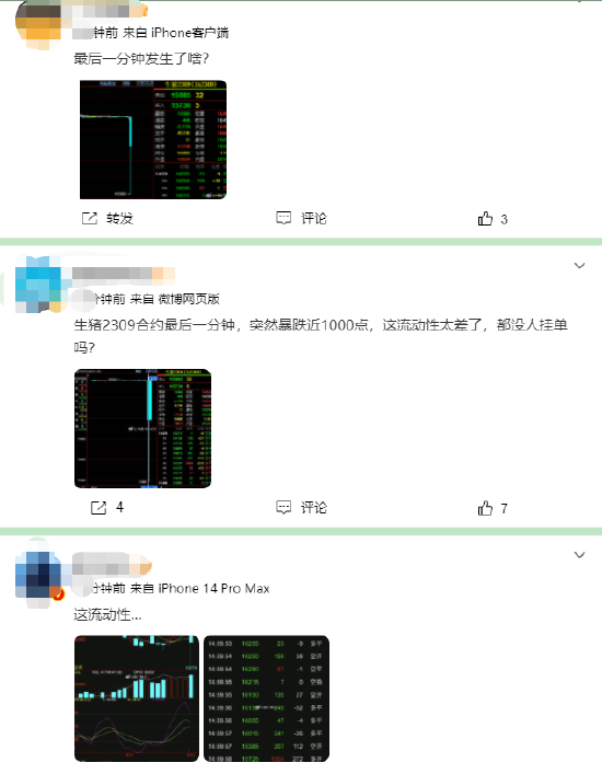 生猪2309合约尾盘倒数三秒疑似“乌龙指”：207手成交在-6%附近 有大V质疑流动性问题