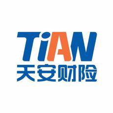 天安财险