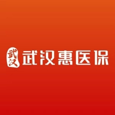 武汉惠医保